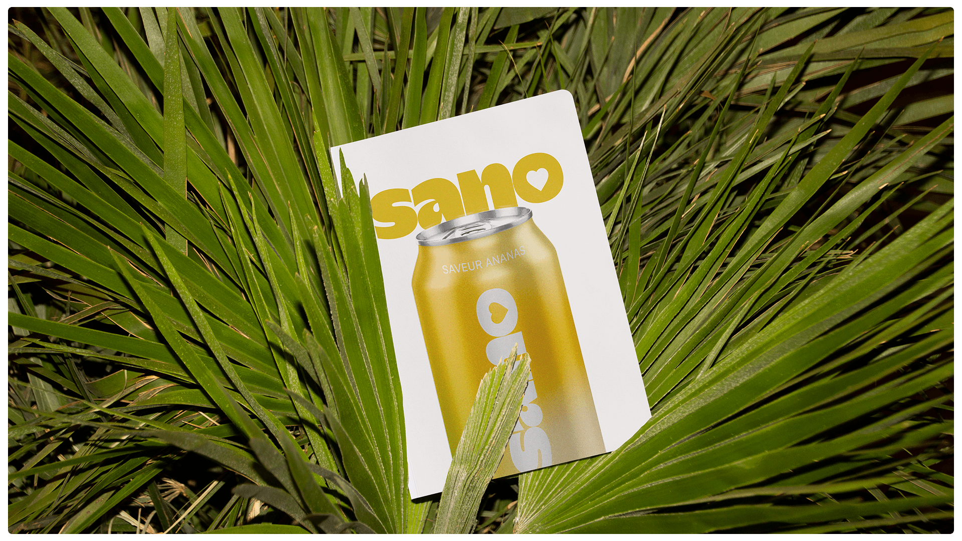 Sano : Le problème