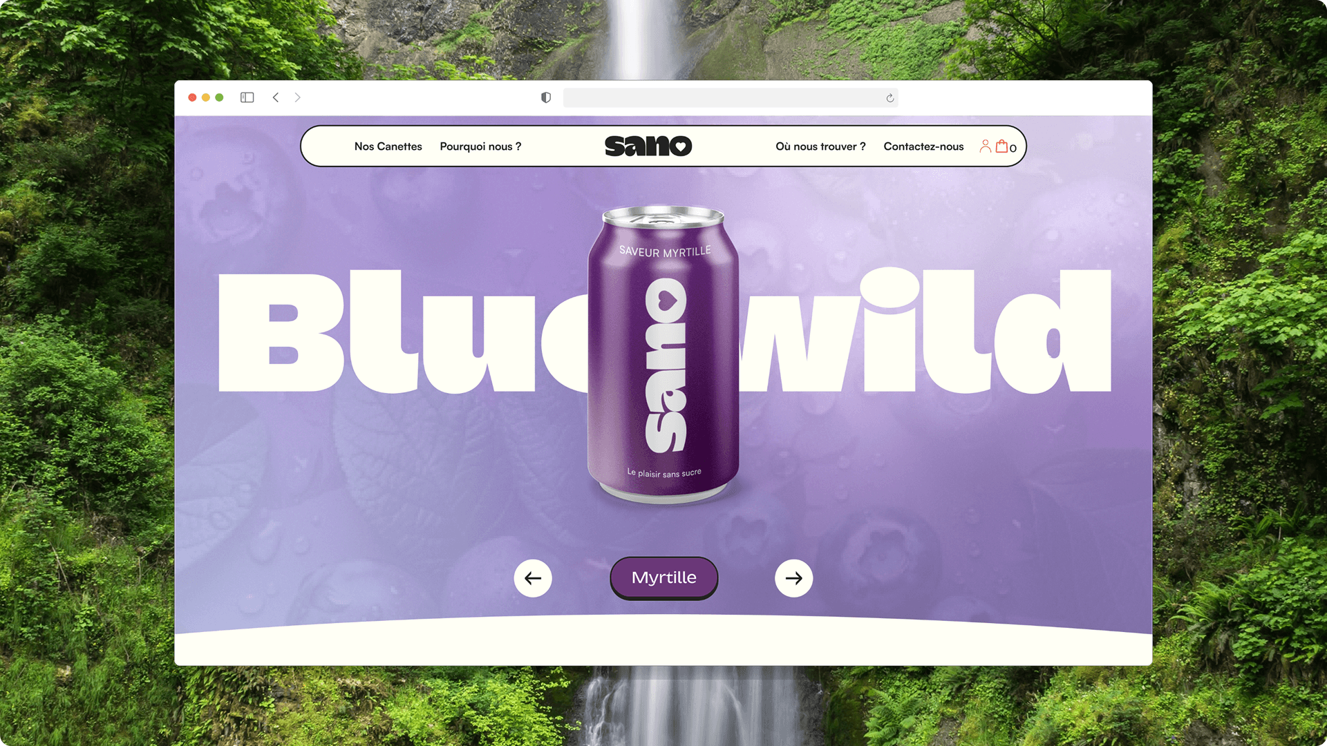 Sano : Le résultat